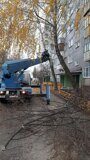 IMG_20221111_134148_949
